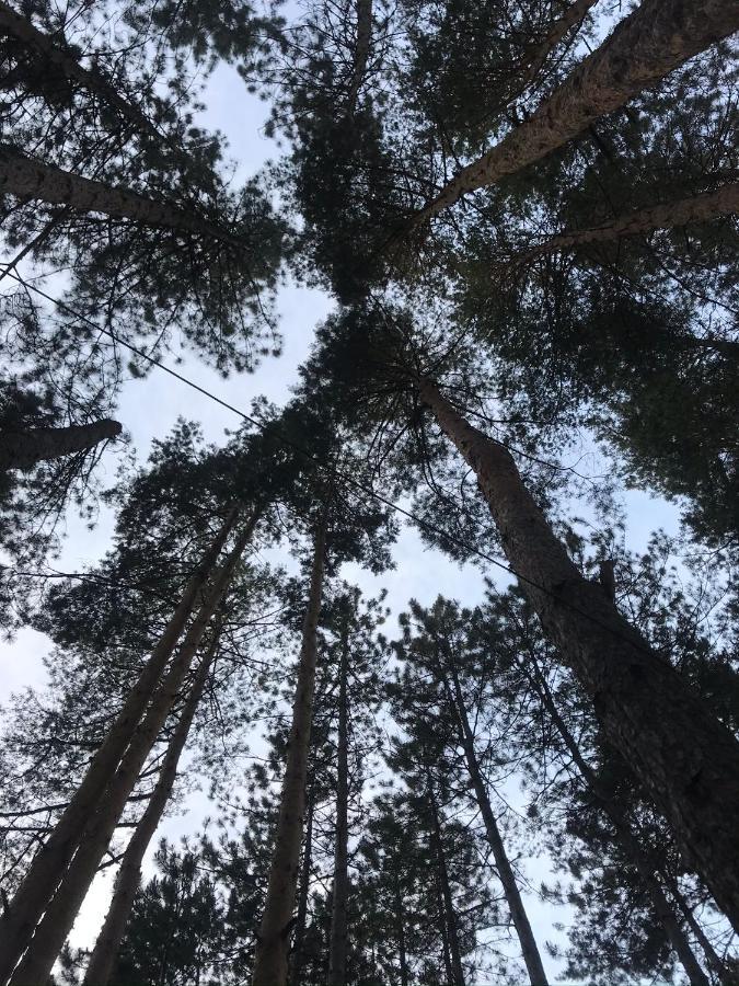 Apartmani In Zlatar Nova Varoš Exteriör bild